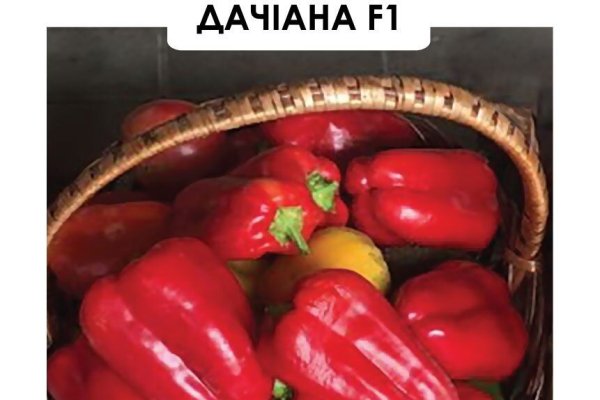 Где заказать наркотики